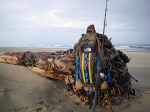 Pack and fishing rod on a drifted log
