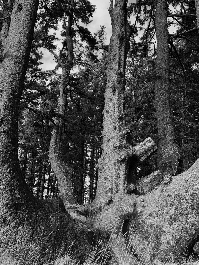 40021610344_f5d20726d9_b