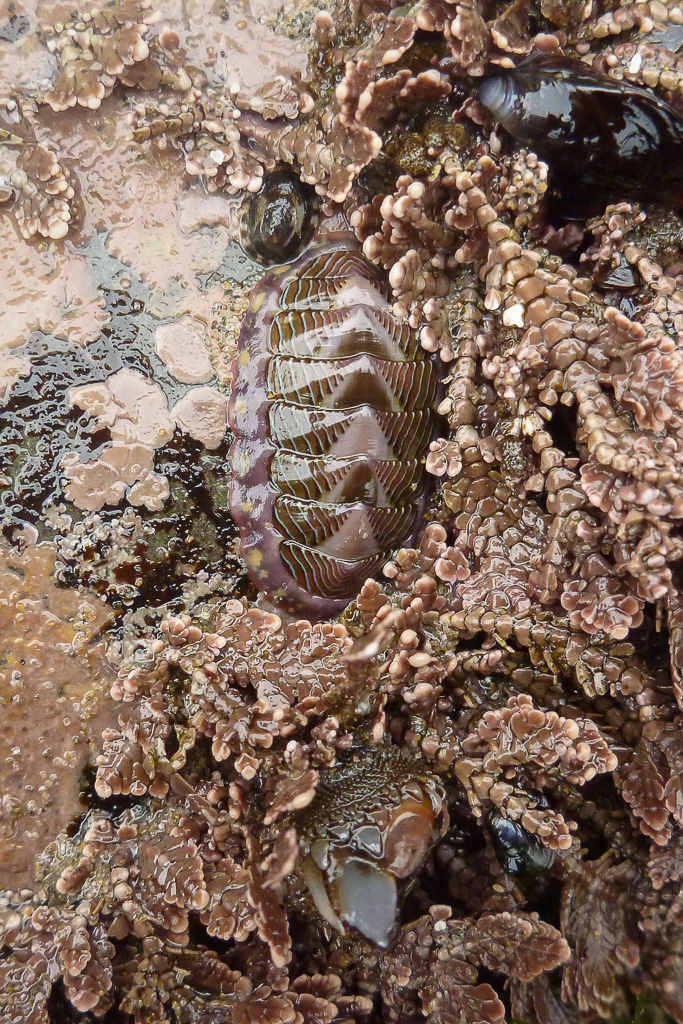 40836587214_9a14f7b670_o