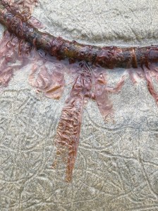 Epiphytic red blades