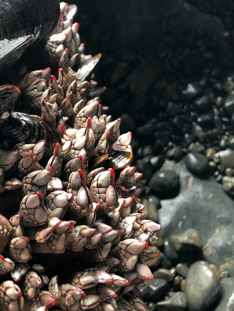 44901507465_6852654864_h