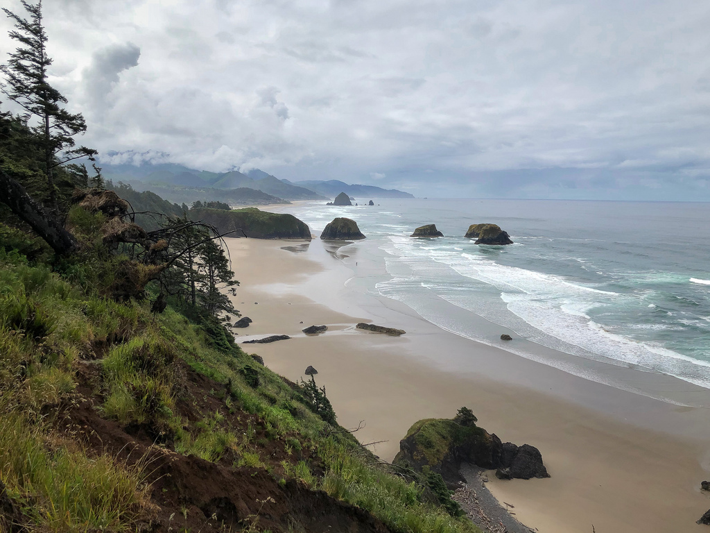 View from a path to the shore