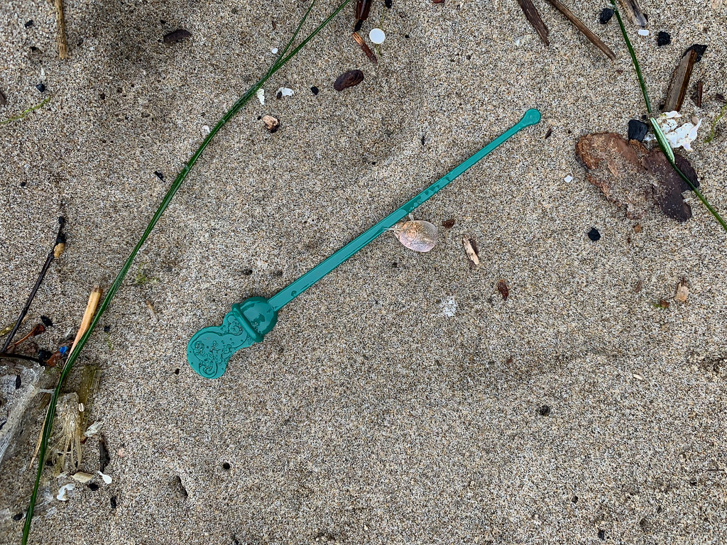 Octopus themed (I think) swizzle stick on wet sand