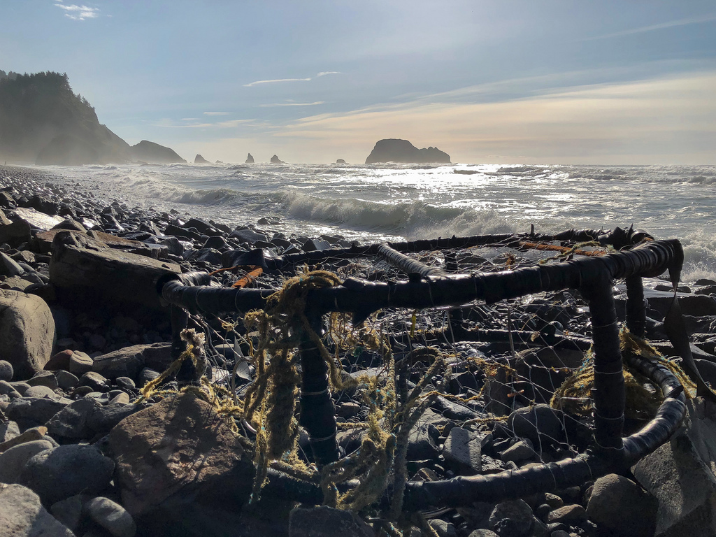 Dungeness trap Up in the cobbles