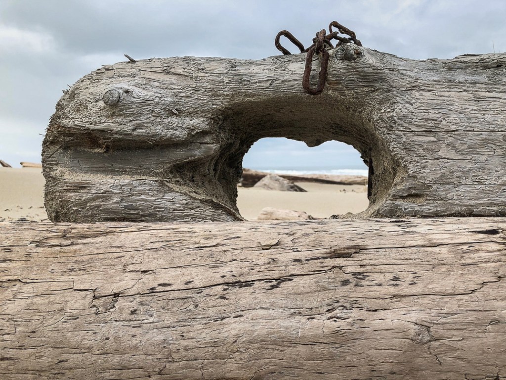 looking out to the surf zone through a man made hole in a drifted timber