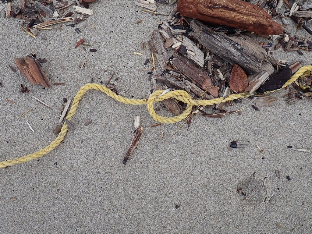 Thin yellow line on sand with woody drifted fragments
