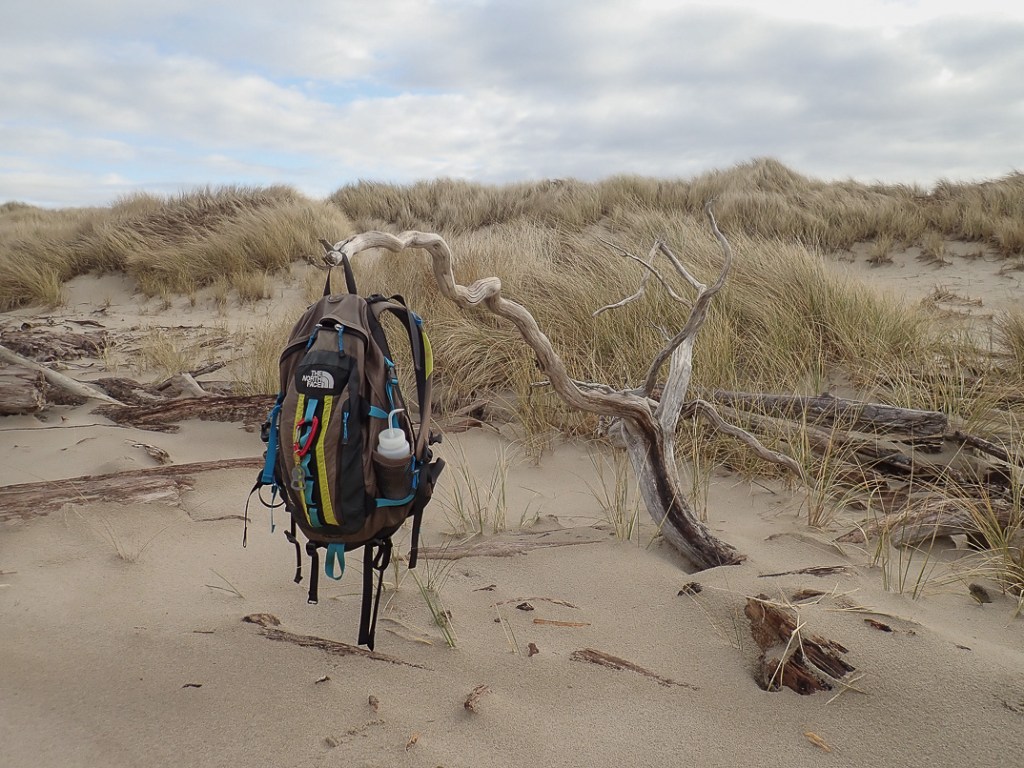 My The North Face pack hanging off an upturned root, foredune being