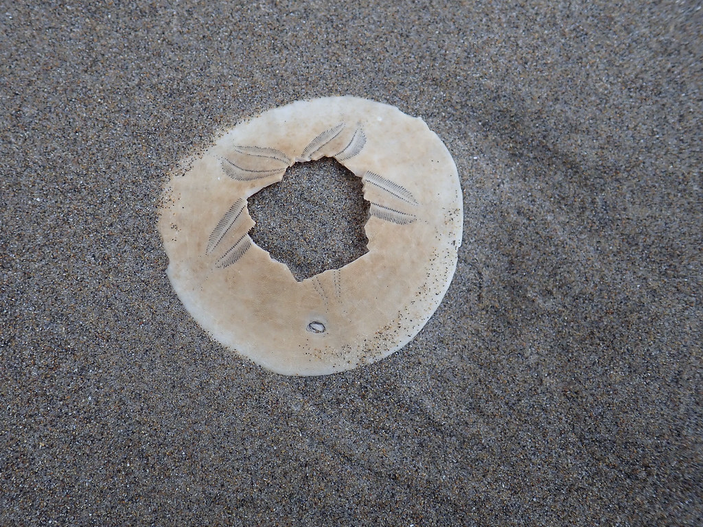 The test with a large hole on sand