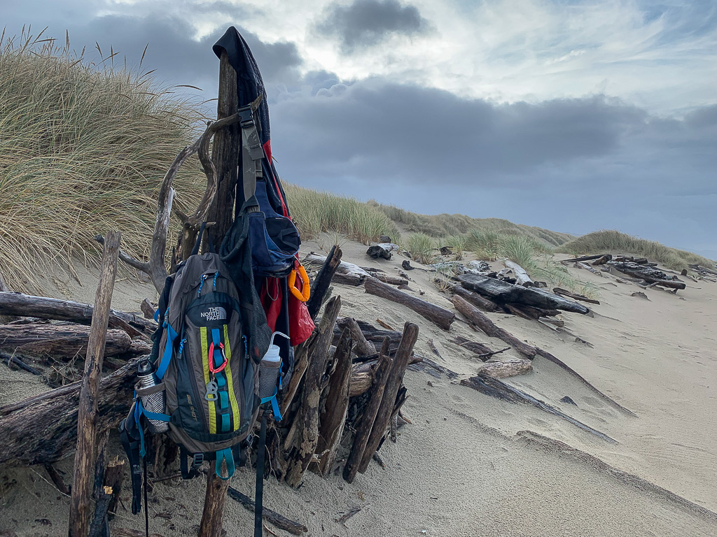 hanging on driftwood