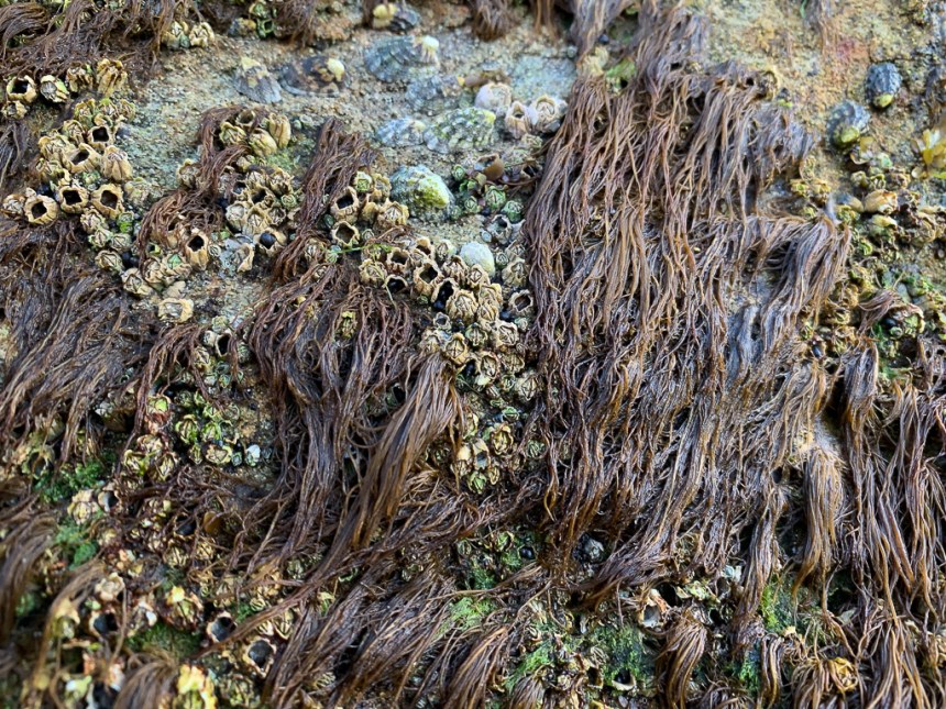 Some strands, hanging down
