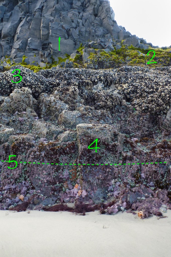 Very big rock in the mid ground, jutting out of sand. All the intertidal zones visible