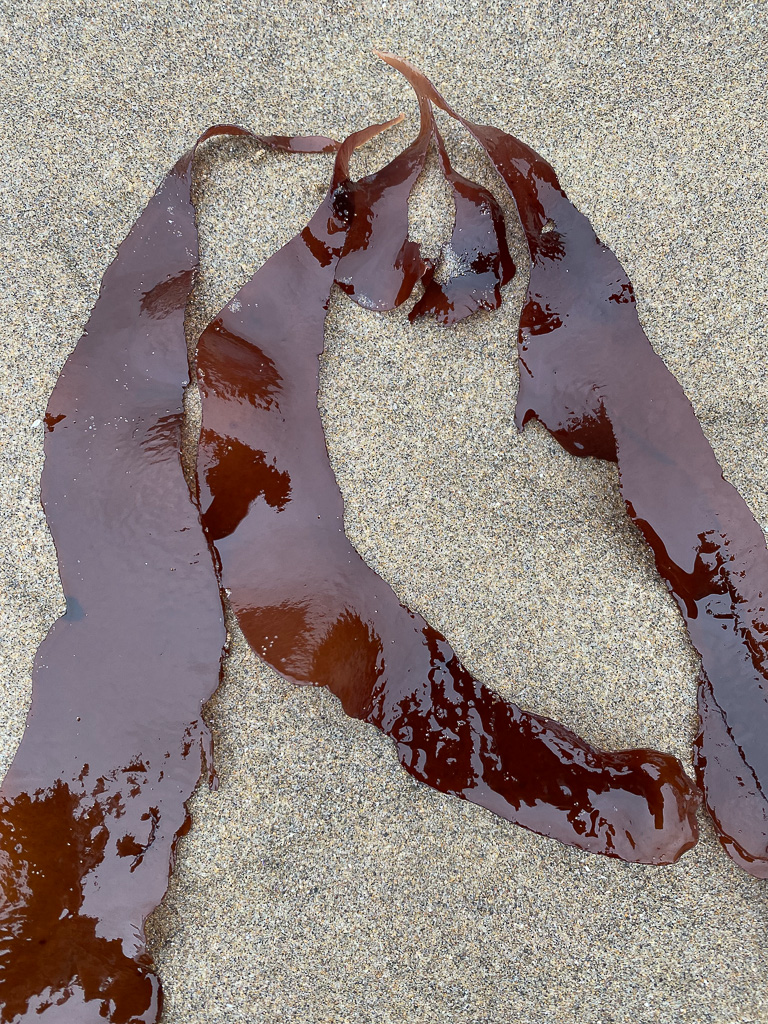 Some blades laid out one sand