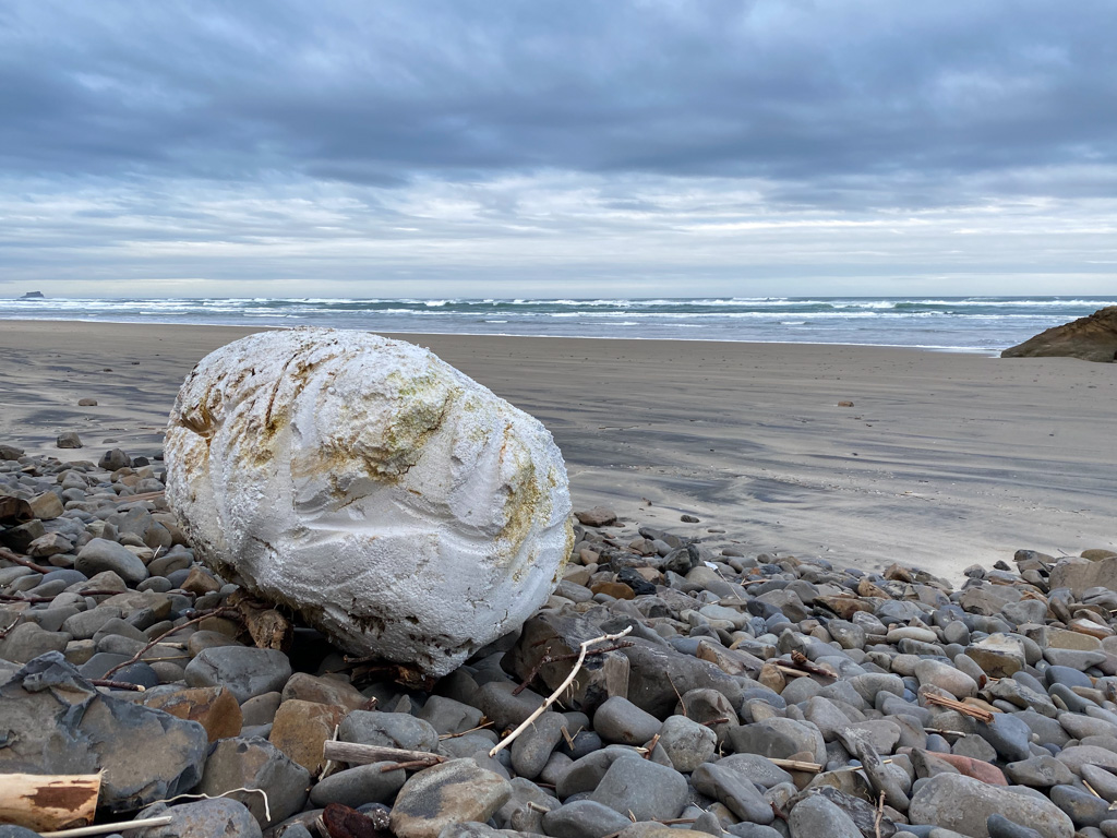 Large drifted styrofoam float up on the cobbles; view out to the surf line and the sea beyond