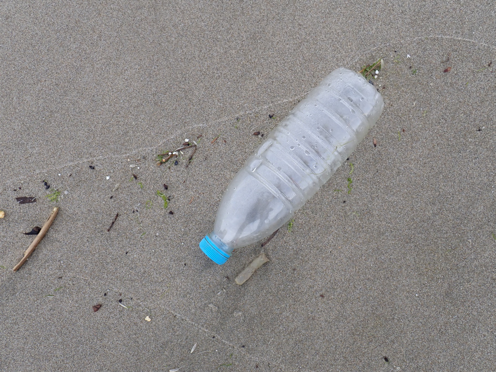 Empty plastic bottle in the tide line