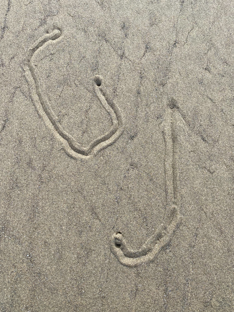 Purple olive tracks in wet beach sand that resemble english letters G ad J