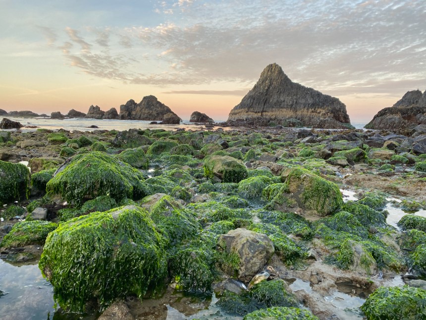 Sunrise on an Ulva rock garden (foreground); beyond, tide pools and large rocks jutting skyward; beyond that, the open sea and a lightly colored horizon.