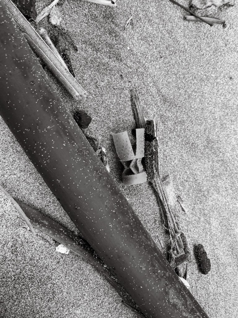 Left panel: the wad next to a bull kelp stipe; right panel, fragment of a plastic crate