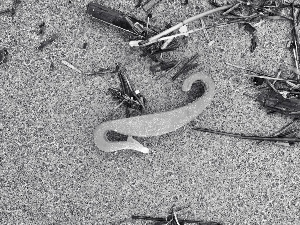 Plastic trap door clip