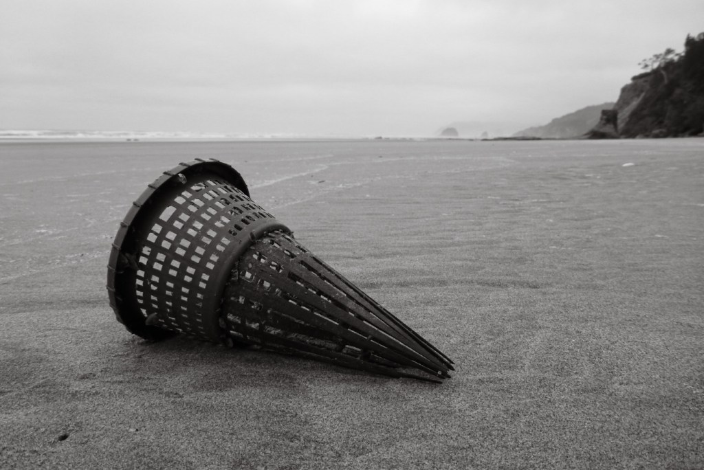 Hagfish trap funnel on beach sand, the view is to the surf zone over beach sand.