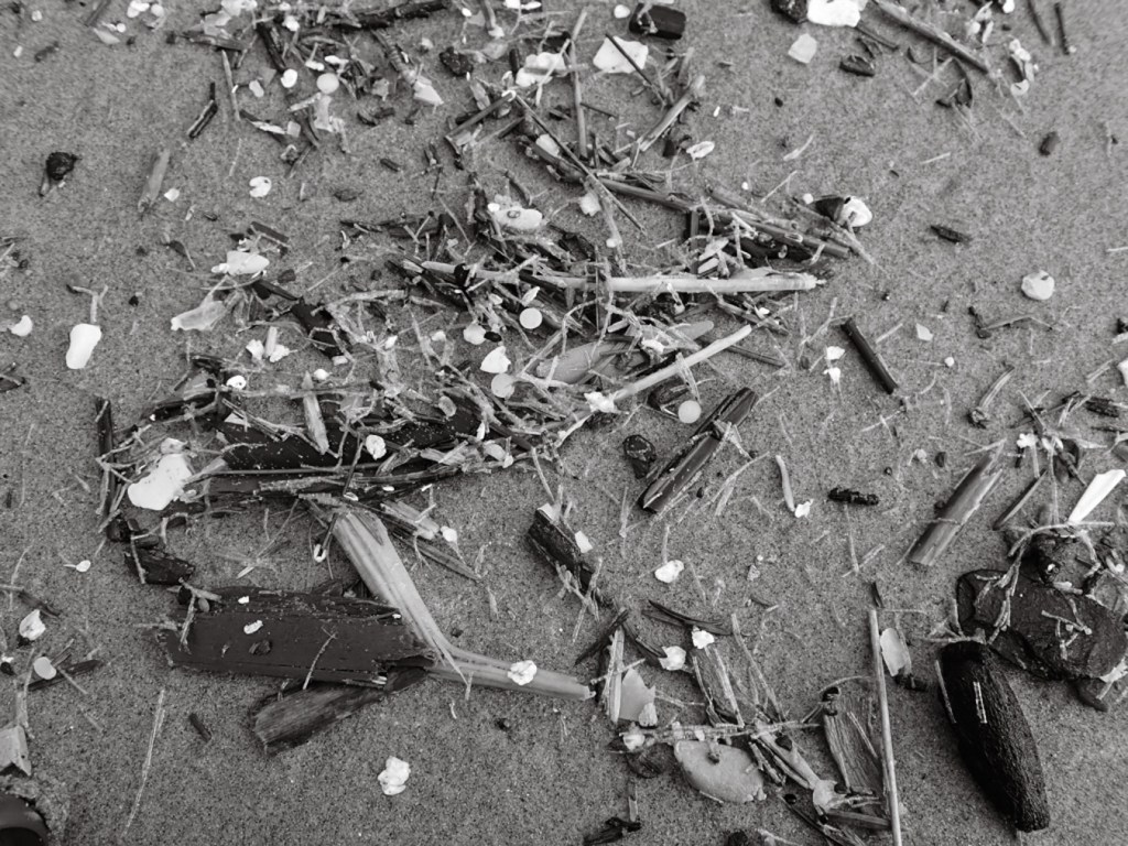 Nudles and plastic fragments washed up in the beach.