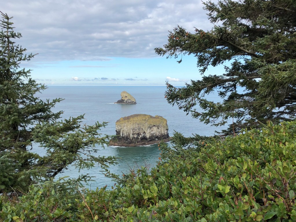 View from Cape Meares out to Three Arch Rocks, Finley closest, Shag behind. A layer of clouds and some blue sky. The image is framed up with salad across the bottom and Sitka spruce on both sides. 
