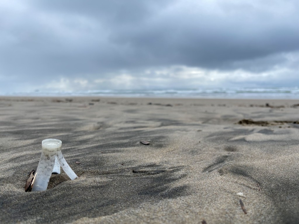 A solo wad from a shotgun shell, the view is over the beach and out to the surf zone