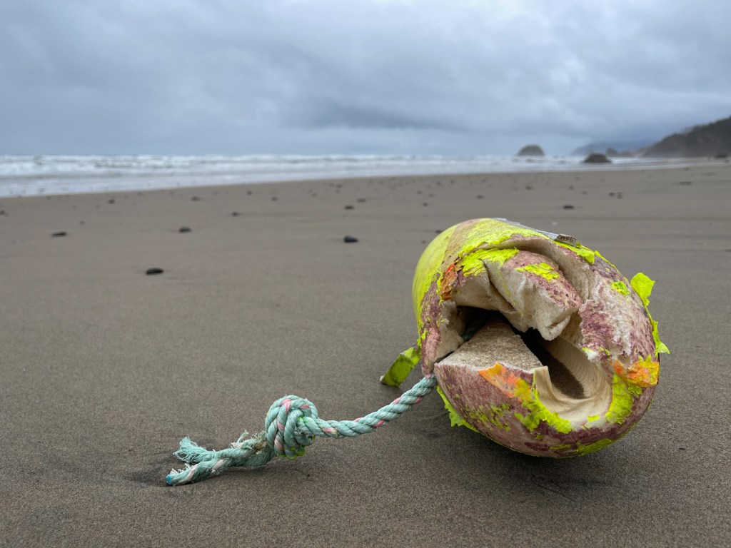 A mangled trap buoy with a bit of line still attached. The view s over the buoy, down the beach to the surf zone.
