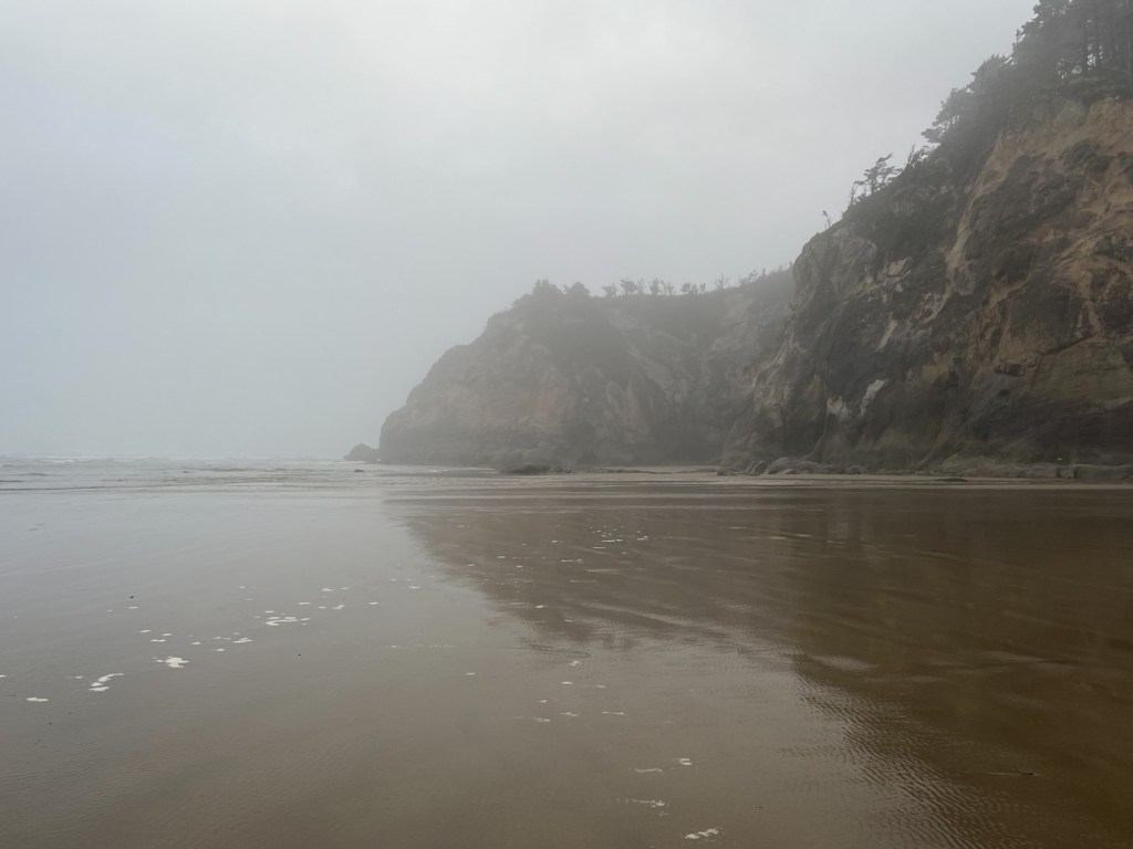 View to the north, mostly a headland in the distance and it's reflection in the reflective surface of wet sand in swash zone.