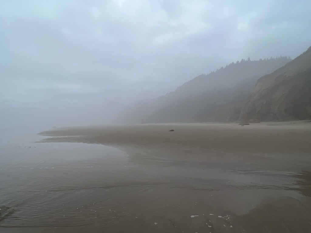 view north along a lonely sandy beach. Coastal mountains on the middle-left, swash zone on the lower- right. Misty, cloudy skies. 