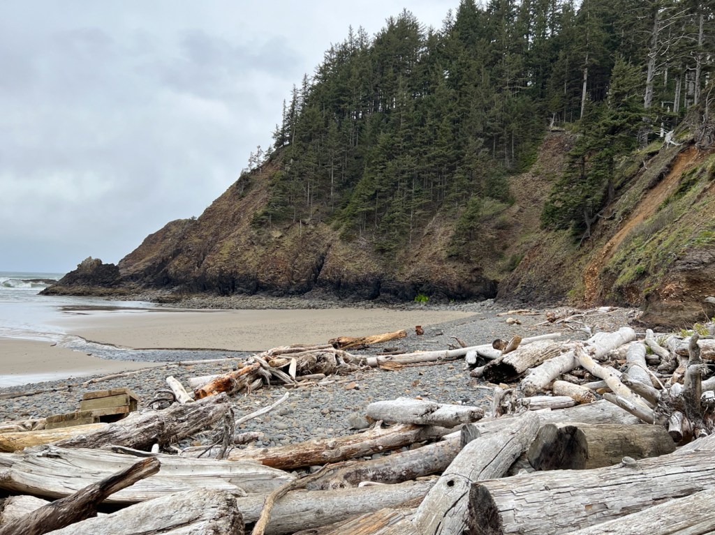 View over big drifted logs and driftwood, across cobbles and beach sand to the surf zone and a headland in the distance.
