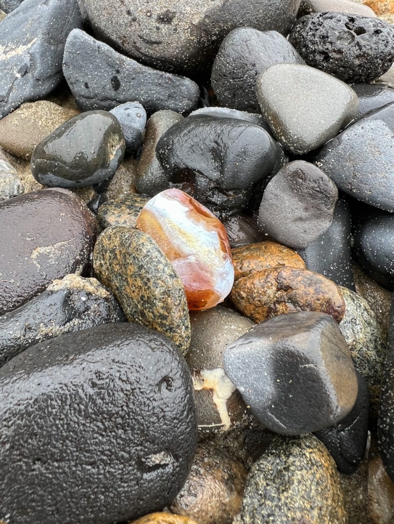 A decent agate laying out in the cobbles (at least I think it's an agate). It's caramel color with a broad white stripe