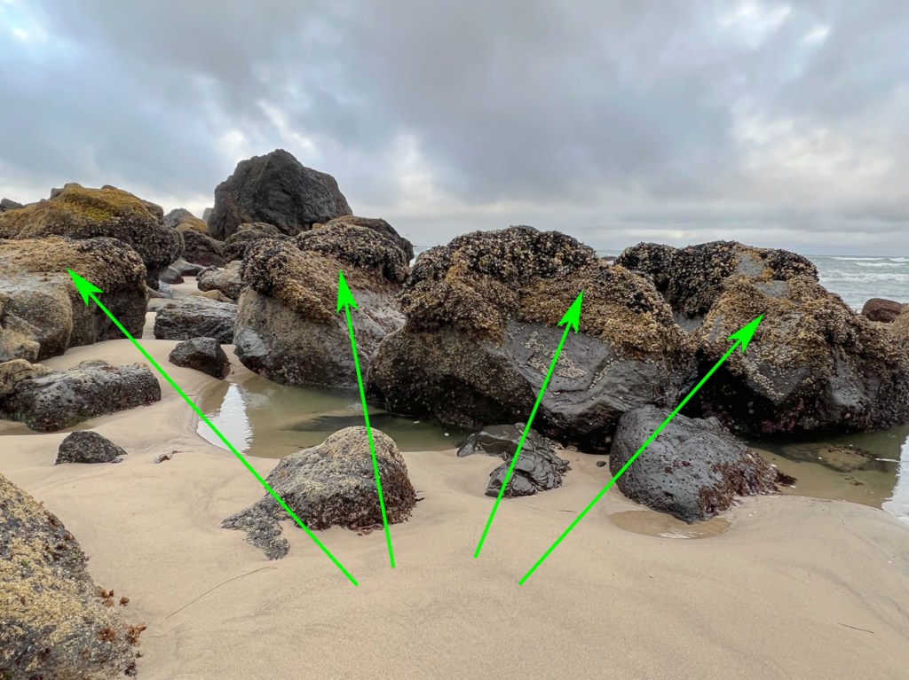 Intertidal rocks toped by mussels and barnacles, exposed at low tide. Sand in the foreground.