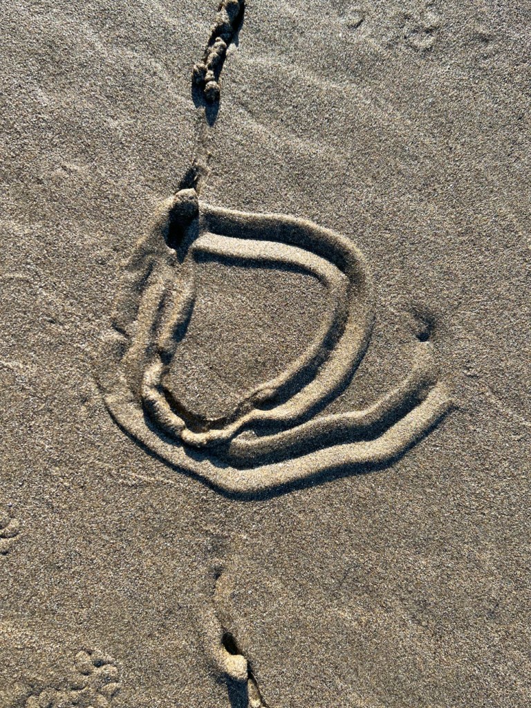 Calianax trail in the sand looks like the letter e.
