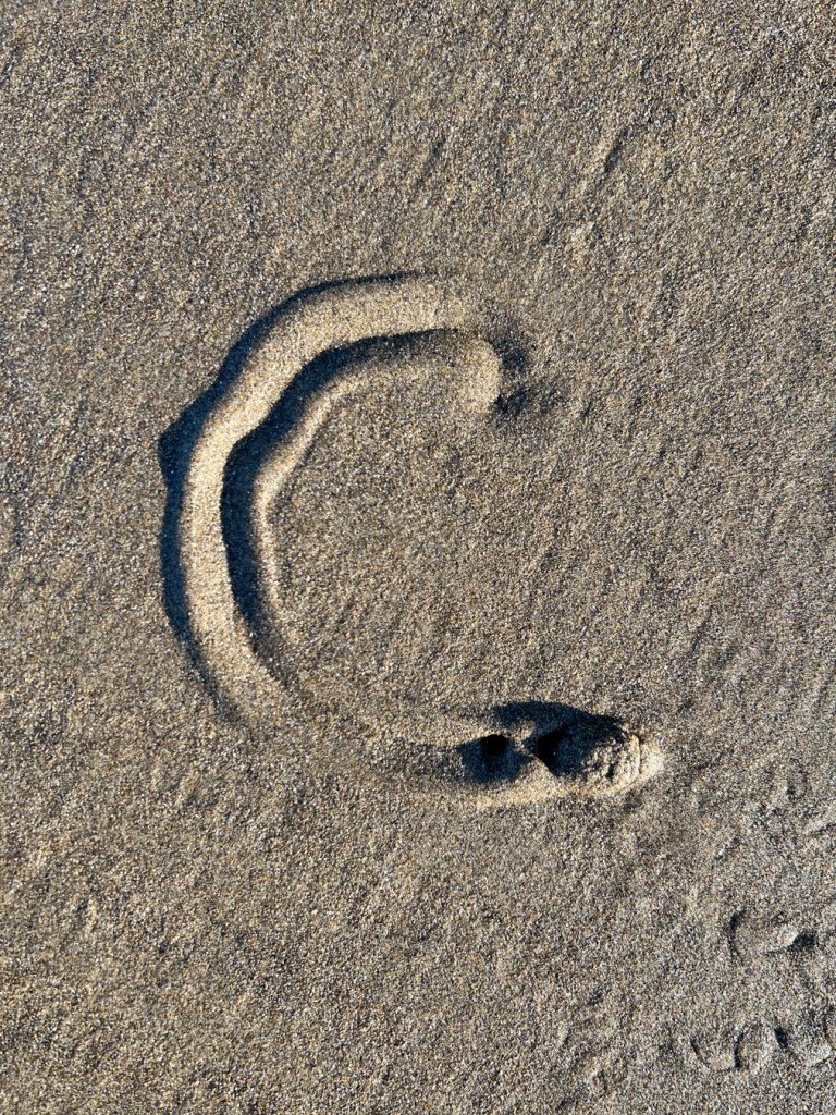 Calianax trail in the sand looks like the letter c.