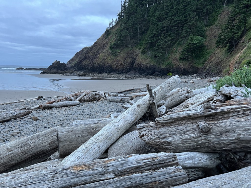 In the fore- and midground, big drifted logs on the cobbles. Forested cliffs at the center and right. wet sand , the surf zone, and beyond on the left. Cloudy early morning sky.