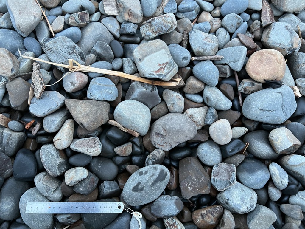Closeup on the cobbles. 15 cm rule in the lower left-hand corner for scale.