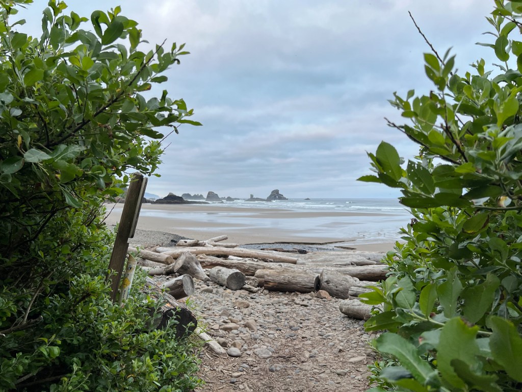 From trail's end the view, framed by shrubs on each side, extends out across the cobbles,big driftwood, beach, surf zone, and the sea beyond. 