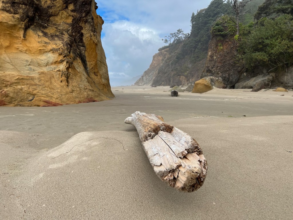 A small drift log balancing on a  hump of beach sand. In the distance (view is to the north), cliffs on the right-hand side; a tall sandstone rock on the left-hand side. The sandy path forward runs in between the two.