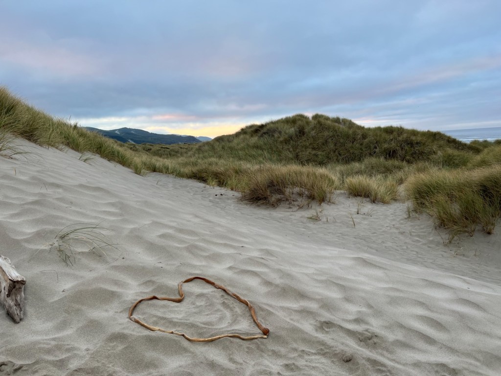 In the foreground, on bare sand, a heart outlined with a bull kelp stipe. Ammophila monoculture in the background. Coudy skies.