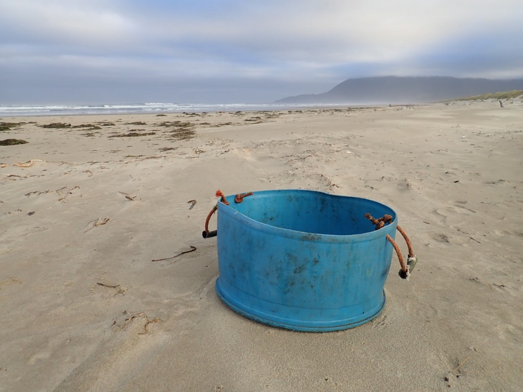 A big blue fish tub (one end of a plastic barrel with DYI handles) resting a bit above the main band of sea wrack. 