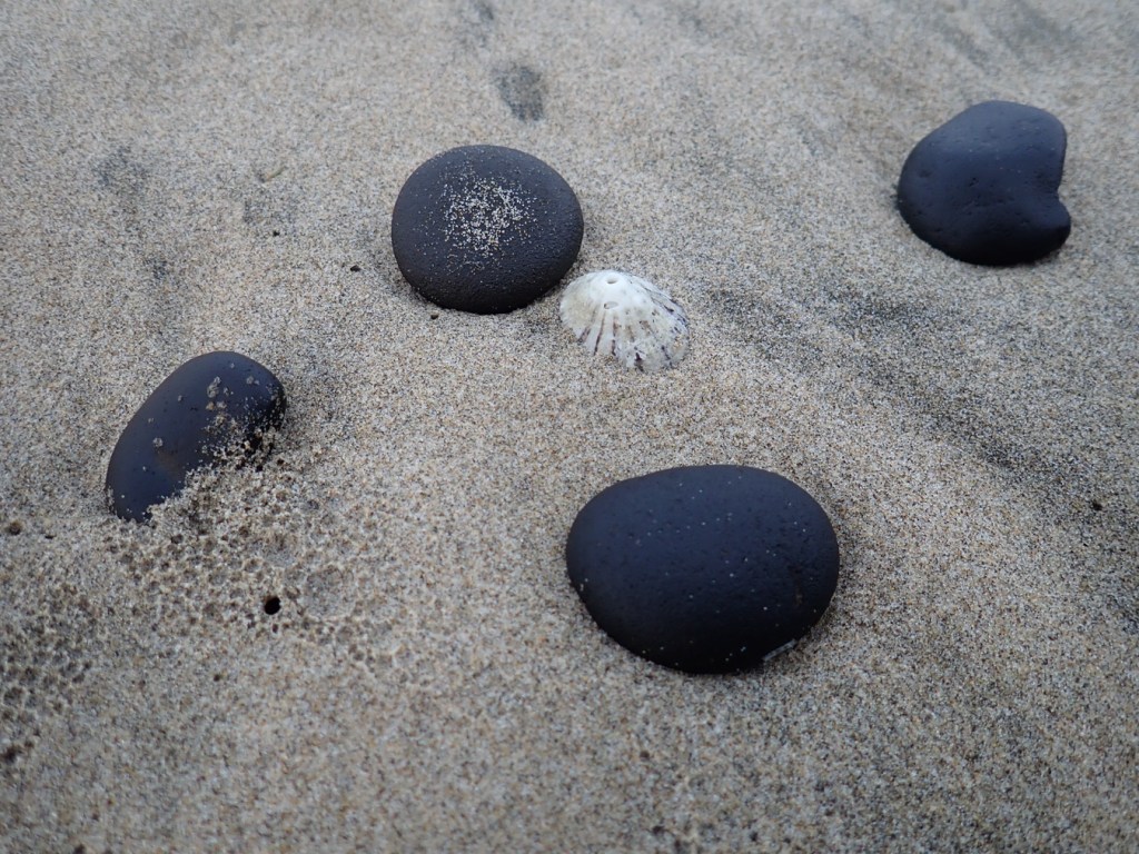Empty rough keyhole limpet shell framed by four large pebbles resting on the sand.