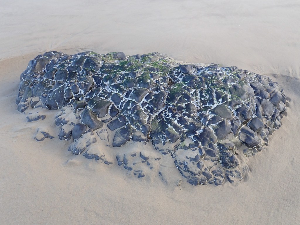 January's dropping sand level exposes a few inches at the top of a boulder.
