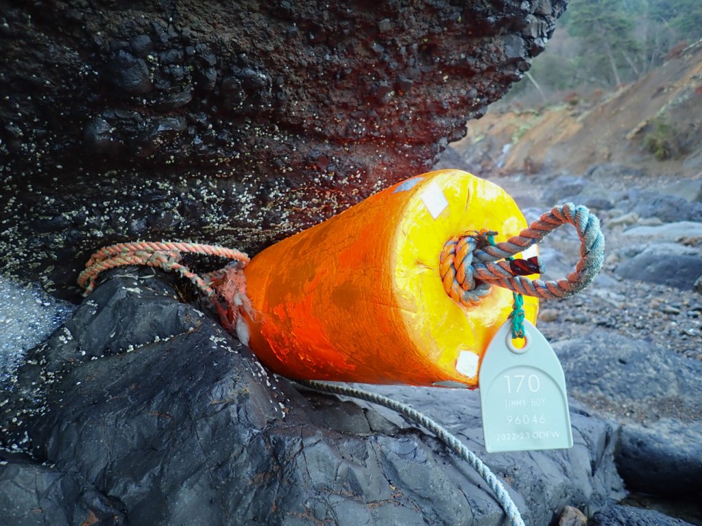 A Dungeness marker buoy for a commercial crab pot wedged in the rocks. The tag is up to date for the 2022-23 season. 
