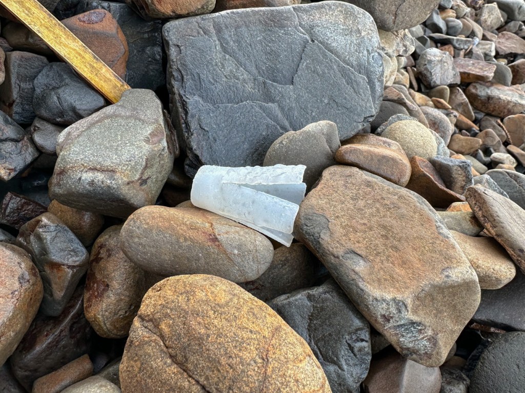 A shotgun shell wad rests on dry cobbles.