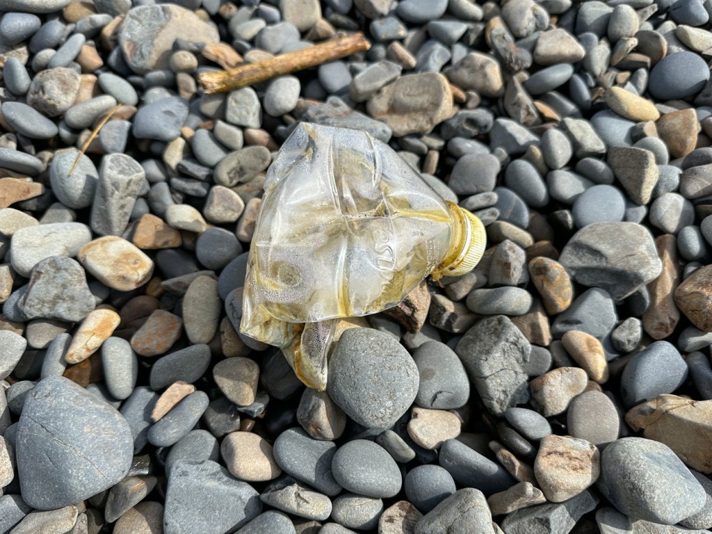 A clear plastic C'estbon beverage container rests on dry cobbles.