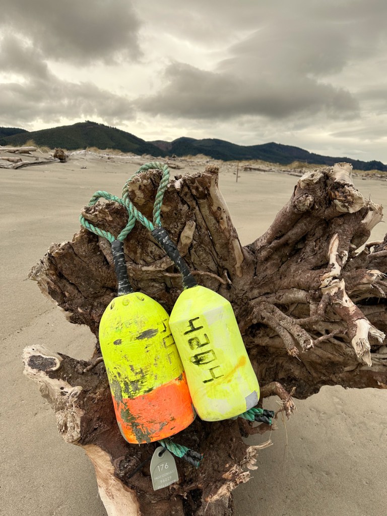 Two carboys draped over a driftwood stump.