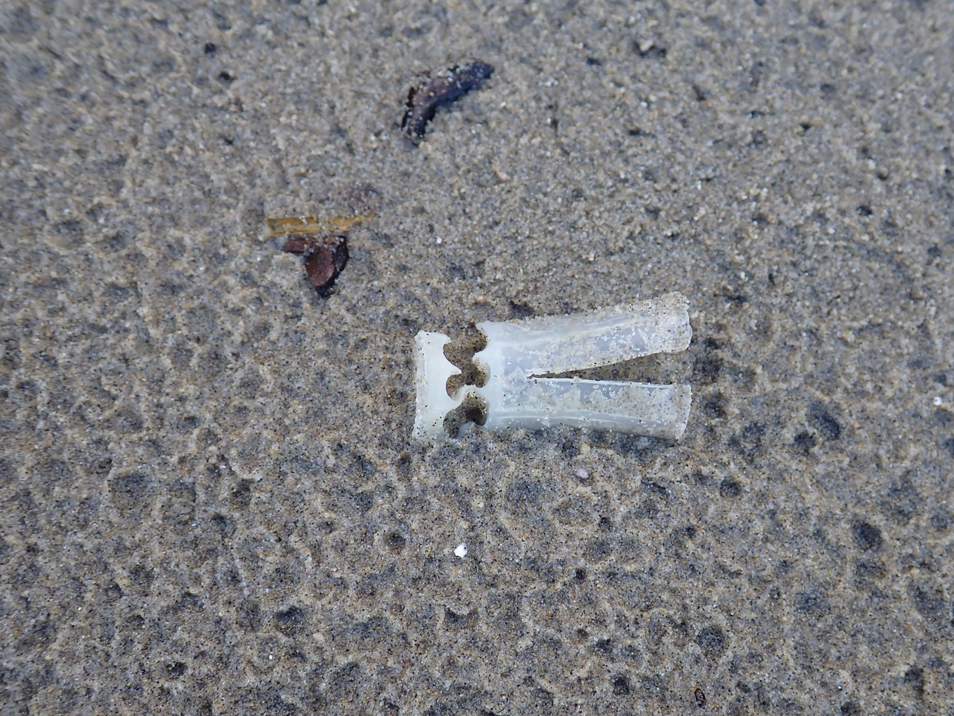 A shotgun shell wad rests on sand dimpled by raindrops.