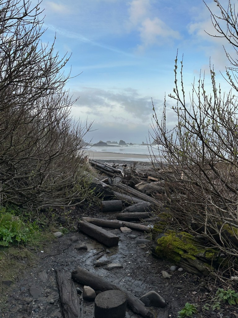 End of a beach trail cluttered with driftwood. Beach, surf zone, and offshore rocks in the distance. Partly cloudy sky.