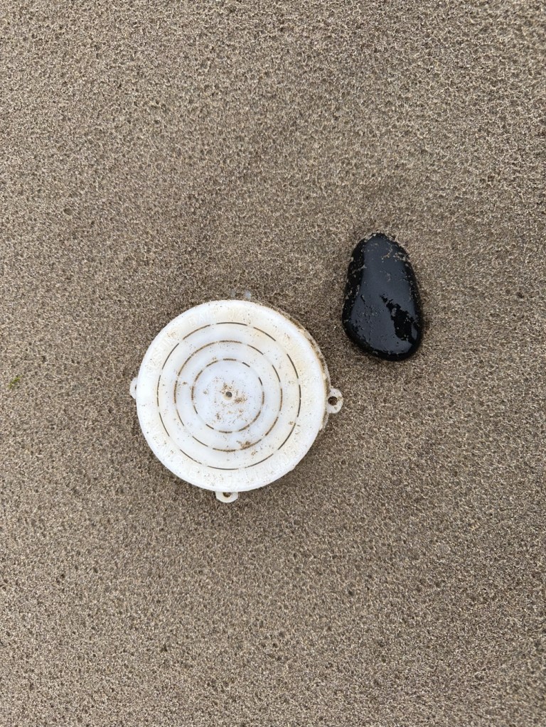 White plastic bait jar lid rests near a small cobble. Raindrop patterns in the sand.
