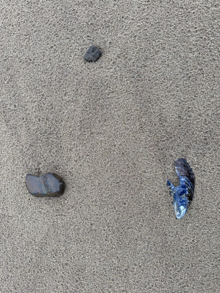 A pebble, a cobble, and a mussel shell form a widely-spaced triangle on sand dotted by raindrops.